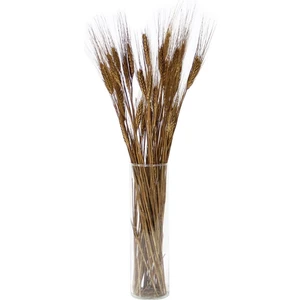 Kurutulmuş Başak Demeti Bronz