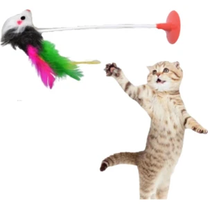 Hubjua Royal Kedi Fare Oyuncağı Vantuzlu