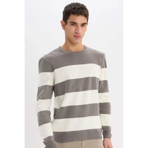 Standart Fit Bisiklet Yaka Çizgili Triko Kazak D1968AX24AU