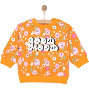 Hellobaby Basic Az Şardonlu Aslan Desenli Sweatshirt Kız Bebek