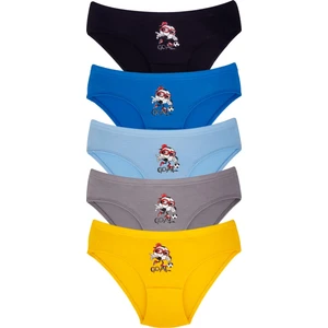 Erkek Çocuk Pamuklu Külot 5'li Paket
