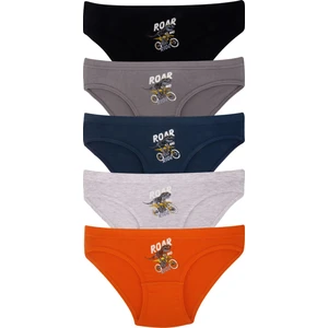 Erkek Çocuk Pamuklu Külot 5'li Paket