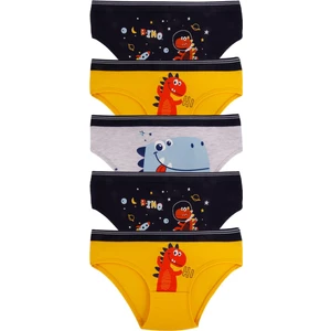 Erkek Çocuk Pamuklu Külot 5'li Paket
