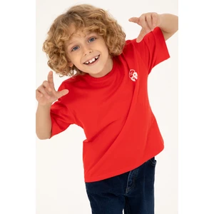 U.s. Polo Assn. Erkek Çocuk Kırmızı Tişört Basic 50295503-VR030