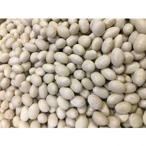 Agrodal Tarım Yerli Doğal Ispir Fasulye Tohumu 50 Adet Tohum