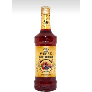 Berry Hibiskus Aromalı Şurup 70 cl