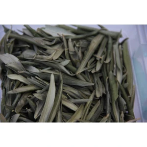 Doğal Zeytin Yaprağı Çayı 150 gr
