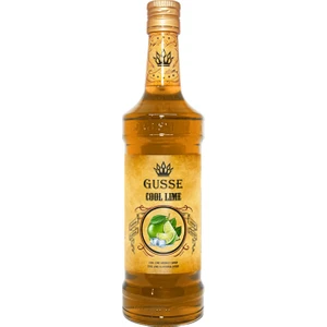 Cool Lime Aromalı Kokteyl Şurup 700 ml