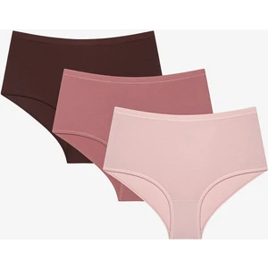 Earth Tones 3lü Highwaist Çok Renkli Slip Külot