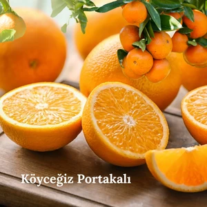 Köyceğiz Organik Sıkmalık Portakal