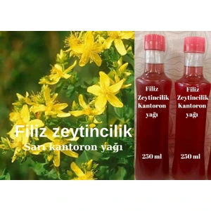 Filiz Zeytincilik Sarı Kantoron Yağı