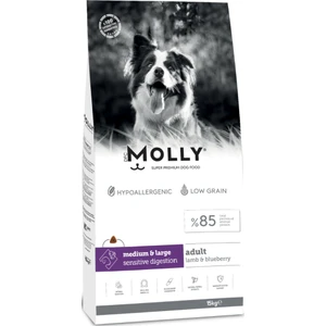 Medium Adult Kuzu Etli & Yaban Mersinli Orta ve Büyük Irk Yetişkin Köpek Maması 15 kg