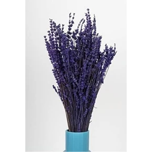 Esse Bahçe Şoklanmış Mor Lavanta