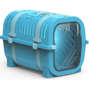 Canlı Turkuaz-Orta Turkuaz Kemer Taşıma Box