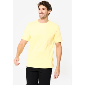 Domyos Erkek Fitness Tişörtü - Pastel Sarı