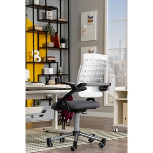 Creo Mobili Freelancer ve Home Ofis Sandalyesi, Kollu Sandalye - Taşıma kap. 120kg, Beyaz/Antrasit - Vega