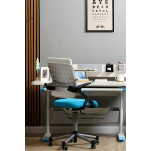 Creo Mobili Liseli Çalışma Sandalyesi, Ergonomik Sırt Ayarlı Sandalye - Taşıma kap. 120kg, Beyaz/Mavi - Vega