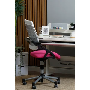 Creo Mobili Liseli Çalışma Sandalyesi, Yükseklik Ayarlı Sandalye - Taşıma kap. 120kg,  Beyaz/Fuşya - Vega Plus