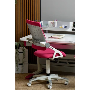 Creo Mobili Kız Çocuk Çalışma Sandalyesi, Yükseklik Ayarlı Sandalye - Taşıma kap. 120kg, Fuşya/Fuşya - Sirius