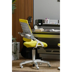 Creo Mobili İlkokul Öğrenci Sandalyesi, Ergonomik Sırt Ayarlı Sandalye - Taşıma kap. 120kg, Sarı/Sarı - Sirius