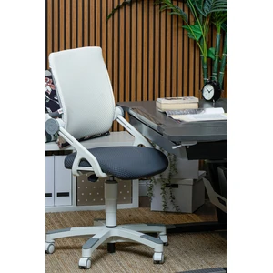 Creo Mobili Kurumsal Çalışma Alanı İçin Uyumlu Ofis Sandalyesi - Taşıma kap. 120kg, Beyaz/Antrasit - Sirius