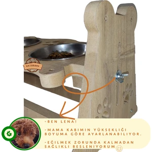 Usta Ağaç Kedi Köpek Profesyonel, Yükseklik Ayarlı Mama Su Kabı