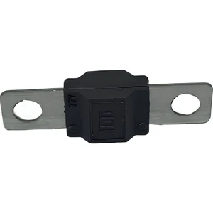 100 Amper Midival Sigorta 100A