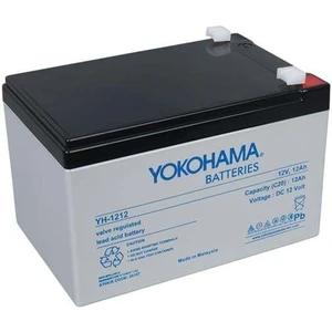 YH-1212 12 Volt - 12 Amper Kuru Akü (151 x 98 x 95 Mm)