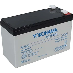 YH-129.0 12 Volt - 9 Amper Akü (150 x 65 x 90 mm)