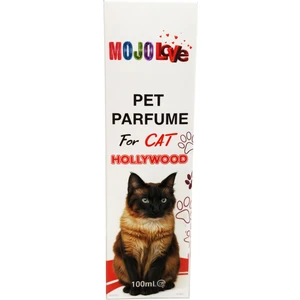 Love Kedi Parfümü Hollwood