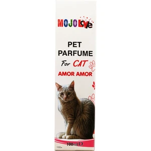 Love Kedi Parfümü Amor