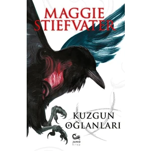 Kuzgun Oğlanları - Maggie Stiefvater