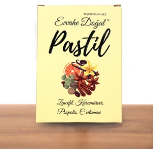 Pastil 12 adet(Zencefil, Karamürver, Propolis, C vitamini İçeren Pastil Takviye Edici Gıda)