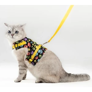 Pati Patron Kaçış Önleyici Kedi Gezdirme Tasması ve Küçük Irk Köpek Gezdirme Tasması