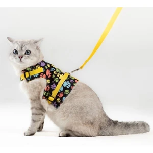 Pati Patron Kaçış Önleyici Kedi Gezdirme Tasması ve Küçük Irk Köpek Gezdirme Tasması