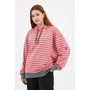 Alexander Gardi Çizgili Kapüşonlu Sweatshirt (UNX00242WN)