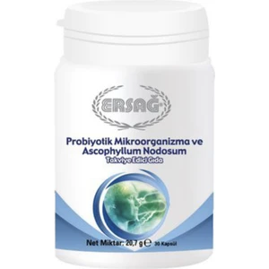 Probiyotik Mikroorganizma Ve Ascophyllum Nodosum 30 Kapsül