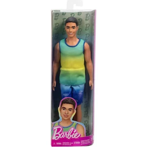 Barbie Yakışıklı Erkek Modeller DWK44-HYV00
