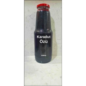 Filiz Zeytincilik Karadut Özü