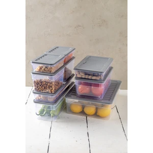 Ny Home 9 Lu Set New Freshbox Mikrodalga ve Difrize Uygun Saklama Kabı Gri