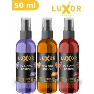 Vanilya Çilek & Böğürtlen sakız & Mango Kavun 50 ml  x 3 Adet Ev ve Oto Parfümü