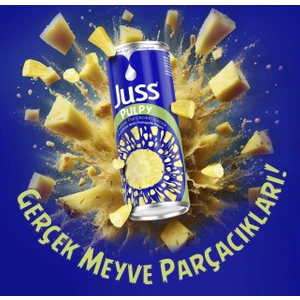 Ananas Parçacıklı Içecek 250MLx24 adet