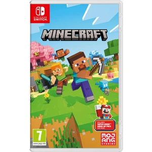Minecraft Nintendo Switch (Super Mario Mash-Up)