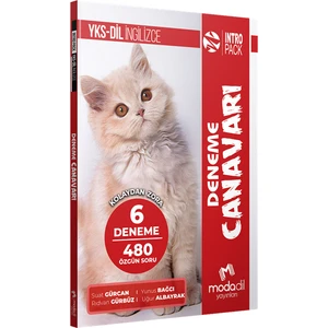YKSdil Intropack Deneme Canavarı (6 Deneme)