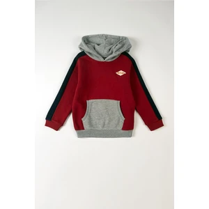 Lee Cooper Mobo Erkek Çocuk Kapüşonlu Sweatshirt Kırmızı-Gri