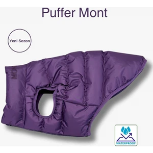 Küçük ve Orta Irk Köpek Montu, Salya Store Köpek Kıyafeti Şişme Köpek Mont