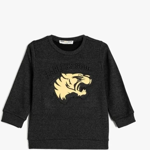 5Wkb10212Tk 927 Antrasit Erkek Cocuk Jersey Sweatshirt