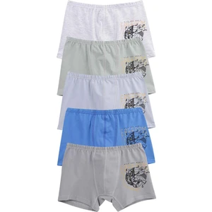 Erkek Çocuk Pamuklu Boxer 5'li Paket