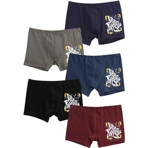 Erkek Çocuk Pamuklu Boxer 5'li Paket