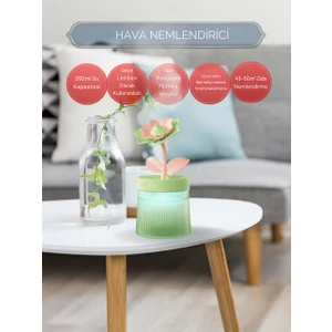 Çiçek Modelli Işıklı Hava Nemlendirici Buhar Makinesi Aroma Difüzörü